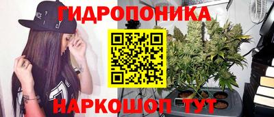 мяу мяу мука Северобайкальск
