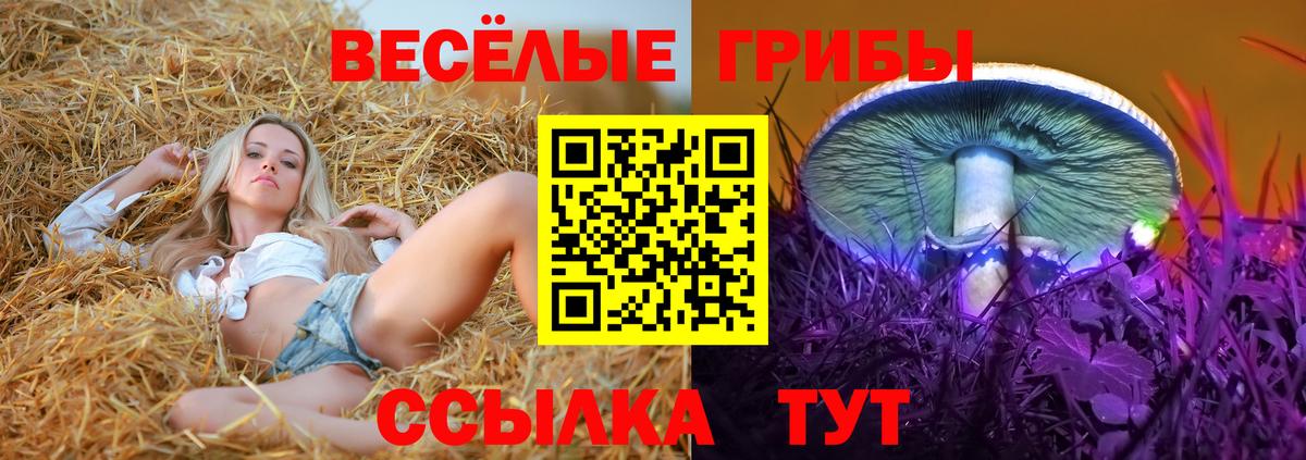 Галлюциногенные грибы GOLDEN TEACHER  купить закладку  Наро-Фоминск  Вход с VPN 