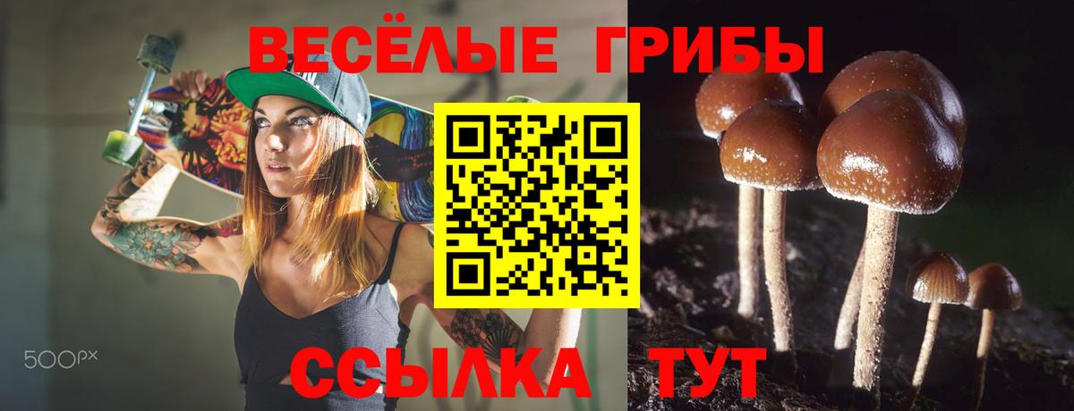 Псилоцибиновые грибы прущие грибы Наро-Фоминск